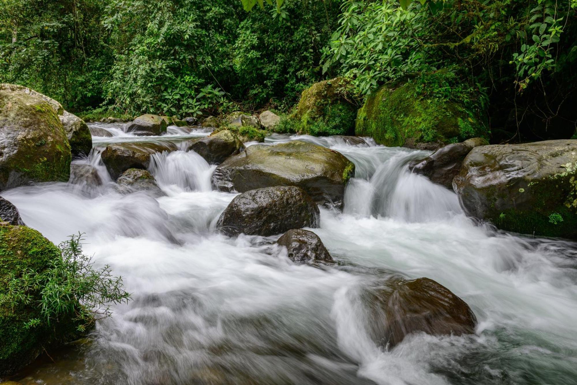 Hotel Rivel - Restaurant & Nature Retreat Turrialba Ngoại thất bức ảnh