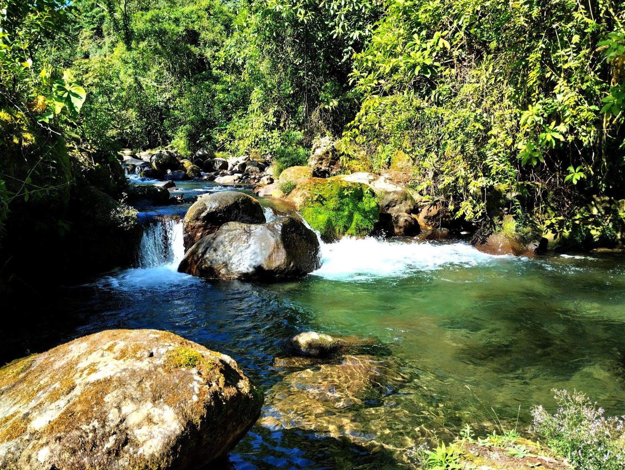 Hotel Rivel - Restaurant & Nature Retreat Turrialba Ngoại thất bức ảnh