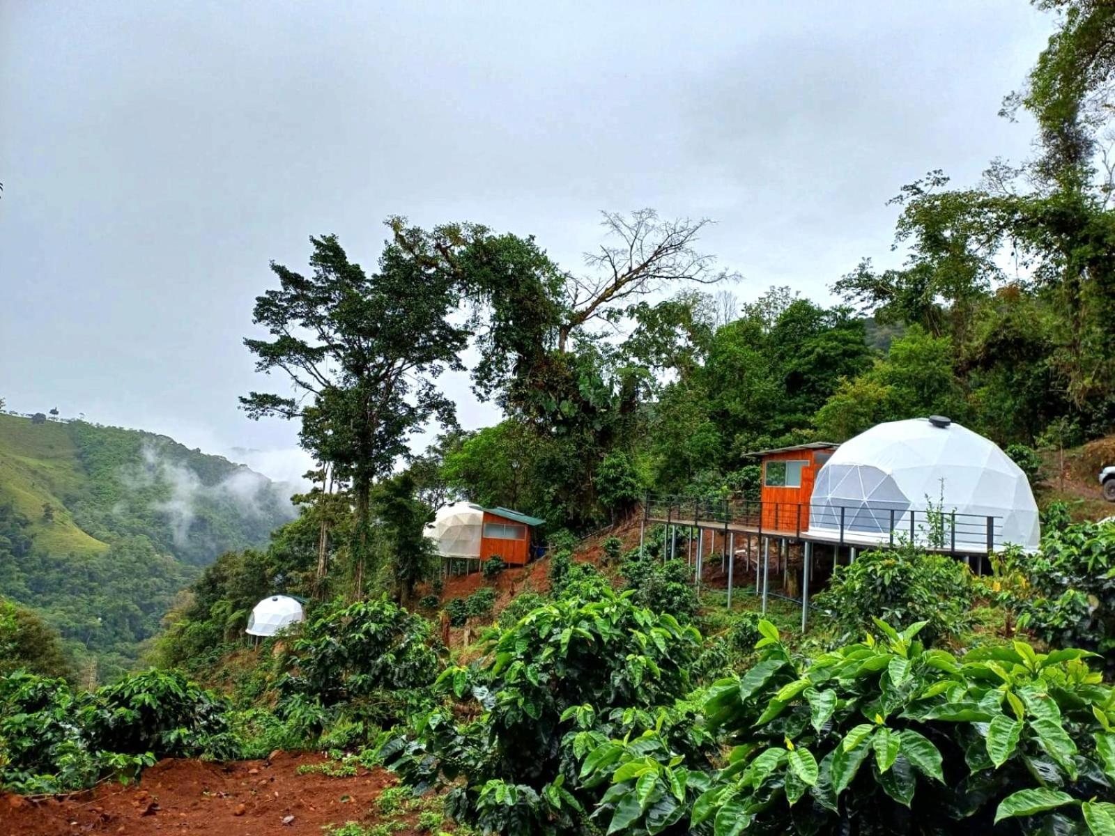 Hotel Rivel - Restaurant & Nature Retreat Turrialba Ngoại thất bức ảnh