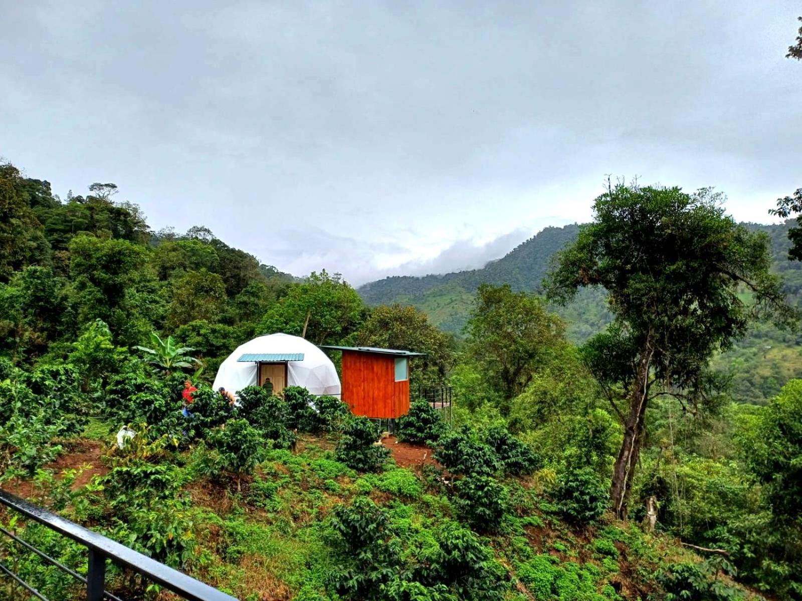 Hotel Rivel - Restaurant & Nature Retreat Turrialba Ngoại thất bức ảnh