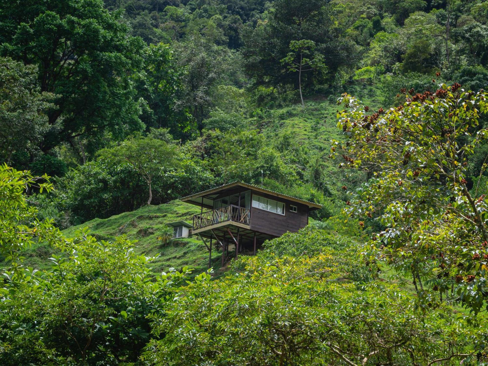 Hotel Rivel - Restaurant & Nature Retreat Turrialba Ngoại thất bức ảnh