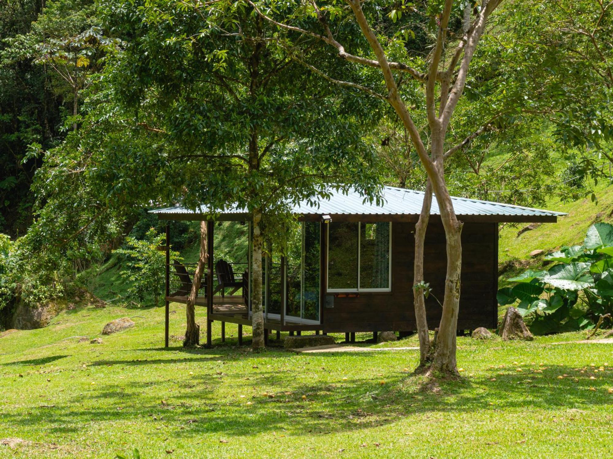 Hotel Rivel - Restaurant & Nature Retreat Turrialba Ngoại thất bức ảnh